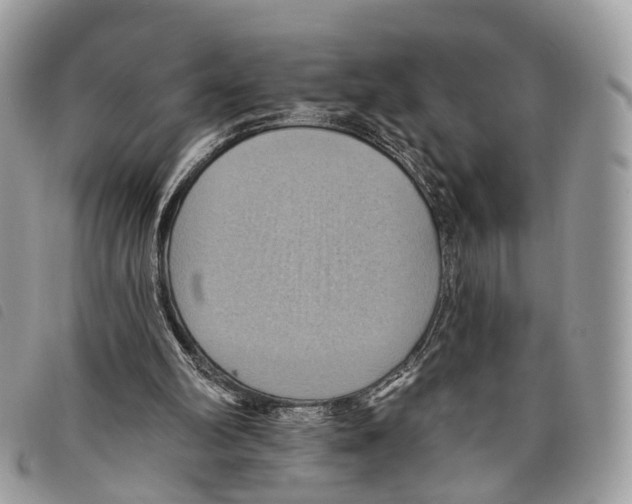 X0000097830102200804111049