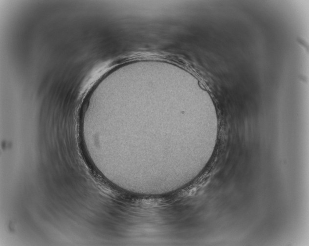 X0000097830103200804111049