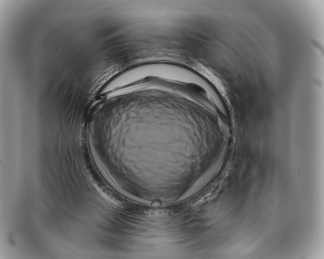 X0000097830105200804111049