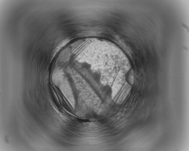 X0000097830107200804111049