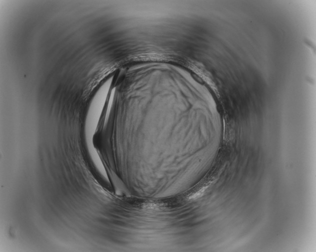 X0000097830109200804111049