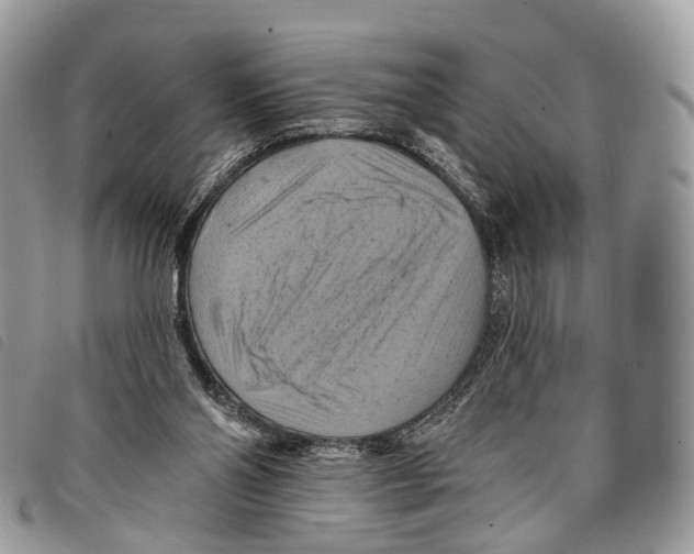 X0000097830110200804111049