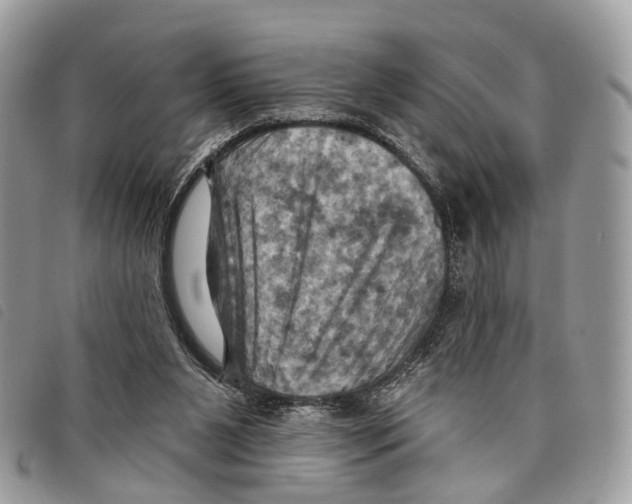 X0000097830111200804111049