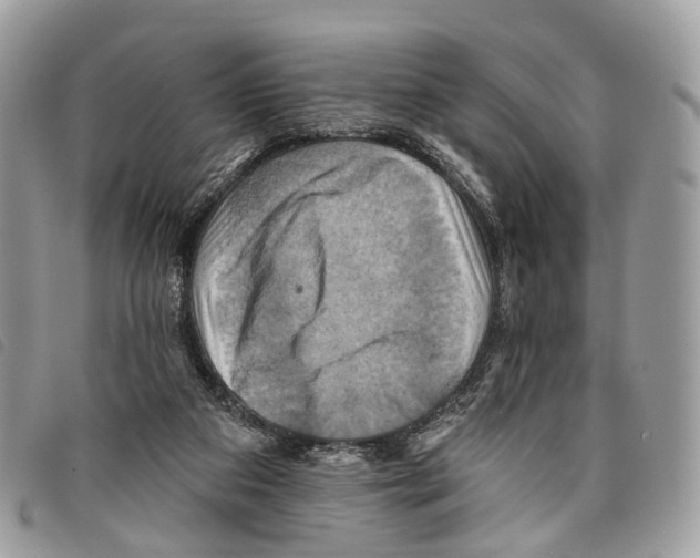 X0000097830113200804111049