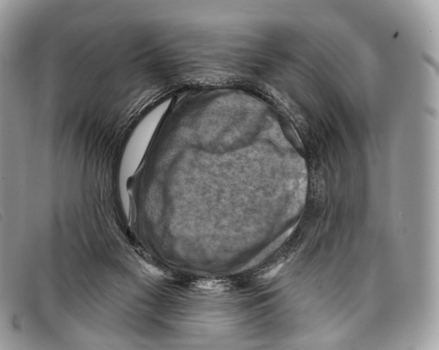 X0000097830117200804111049