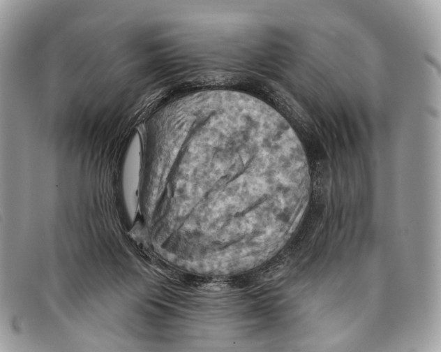 X0000097830119200804111049