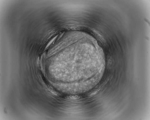 X0000097830121200804111049