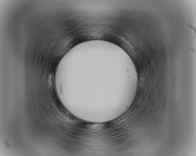 X0000097830122200804111049