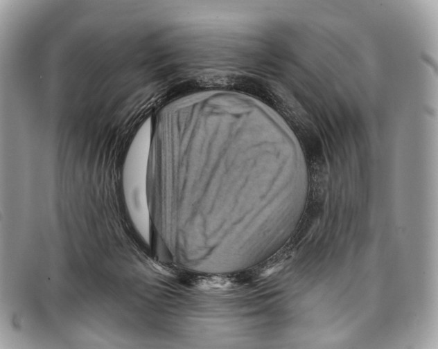 X0000097830125200804111048