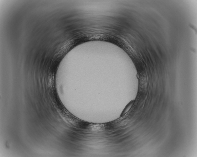 X0000097830126200804111048