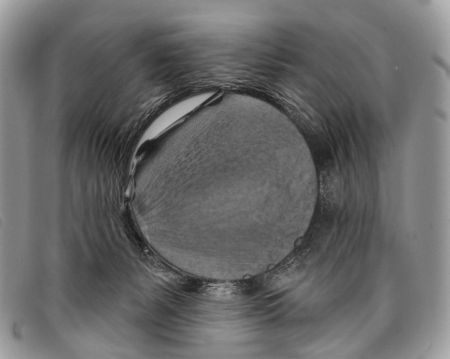 X0000097830127200804111048