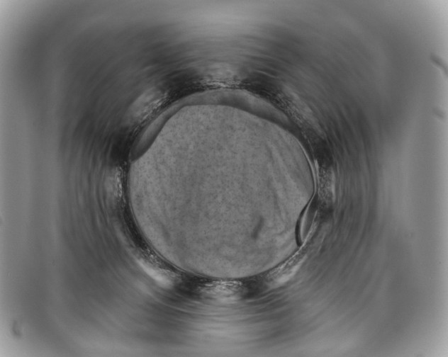 X0000097830128200804111048