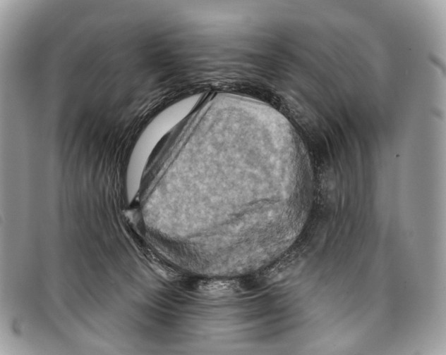 X0000097830129200804111048