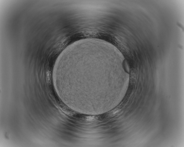 X0000097830130200804111048