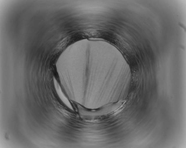 X0000097830132200804111048