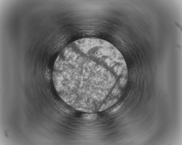 X0000097830135200804111048