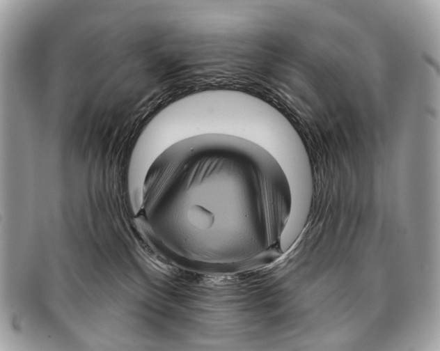 X0000097830136200804111048