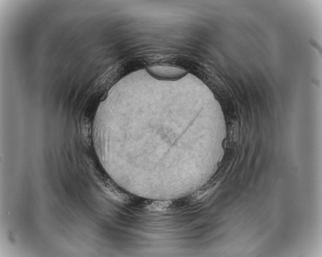 X0000097830138200804111048