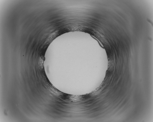 X0000097830142200804111048