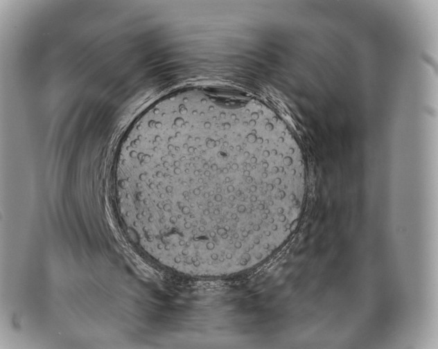 X0000097830145200804111047