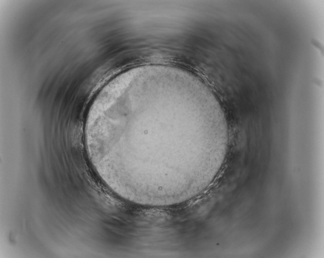 X0000097830146200804111047