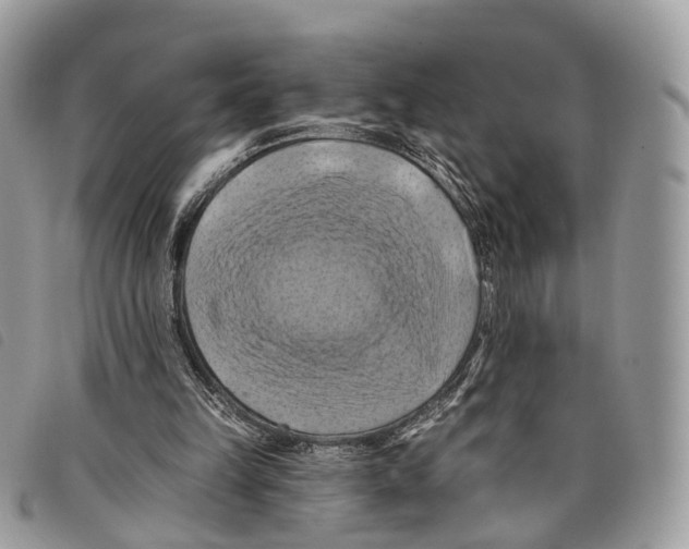 X0000097830149200804111047