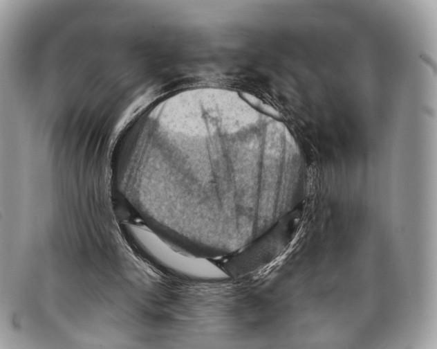 X0000097830150200804111047