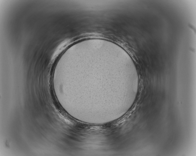 X0000097830151200804111047