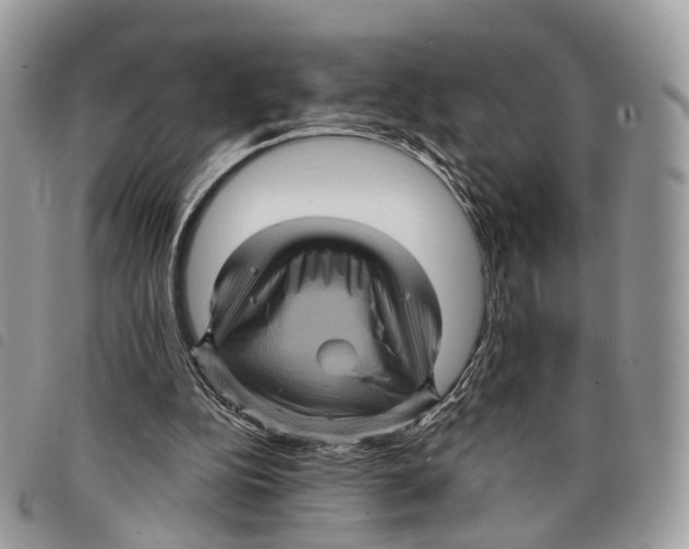 X0000097830152200804111047