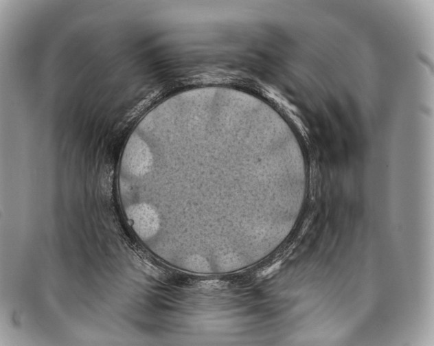 X0000097830153200804111047