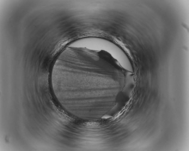 X0000097830154200804111048