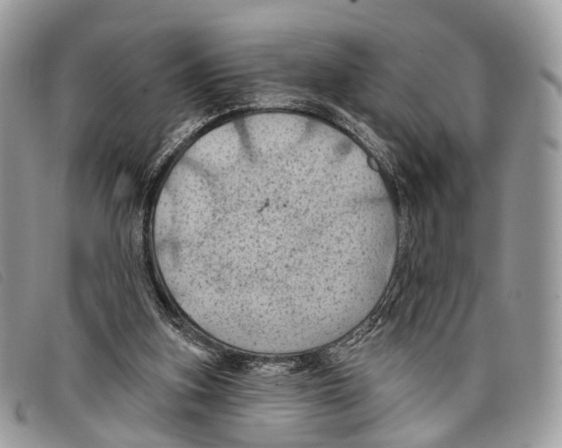 X0000097830155200804111048