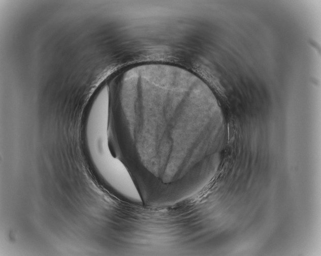 X0000097830156200804111048