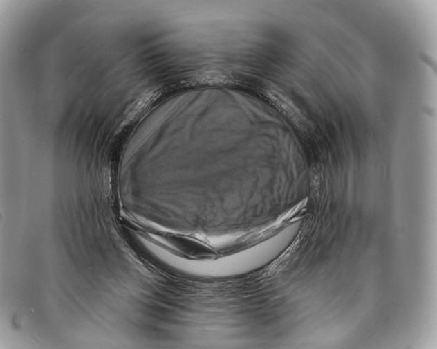 X0000097830158200804111048