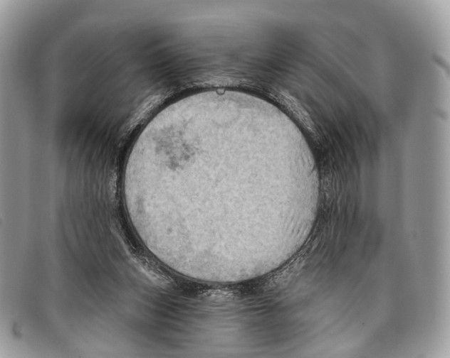 X0000097830159200804111048