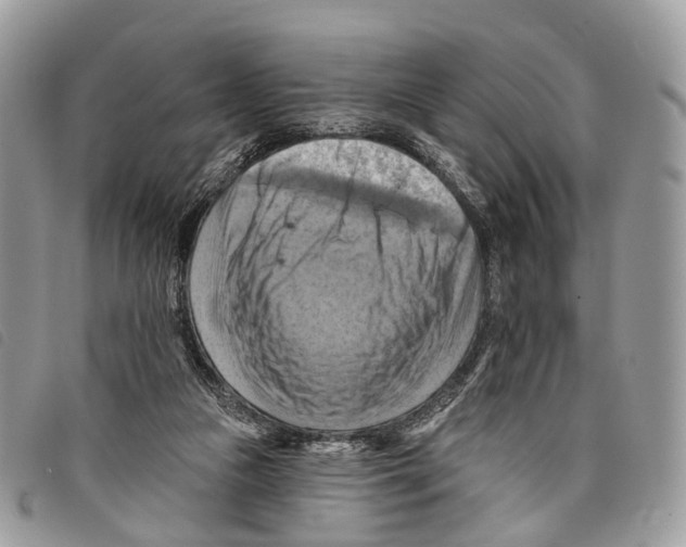 X0000097830161200804111048