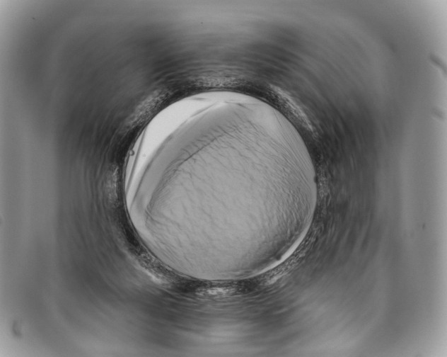 X0000097830163200804111048