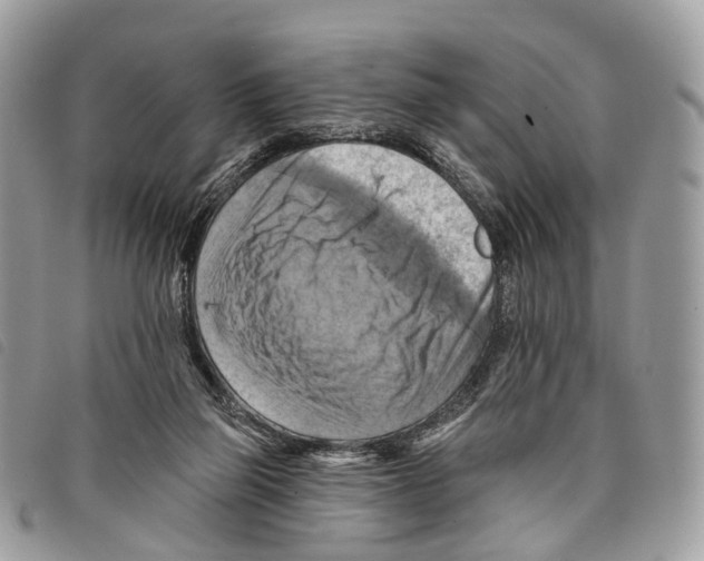 X0000097830165200804111048