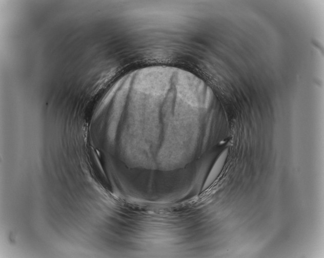 X0000097830168200804111048