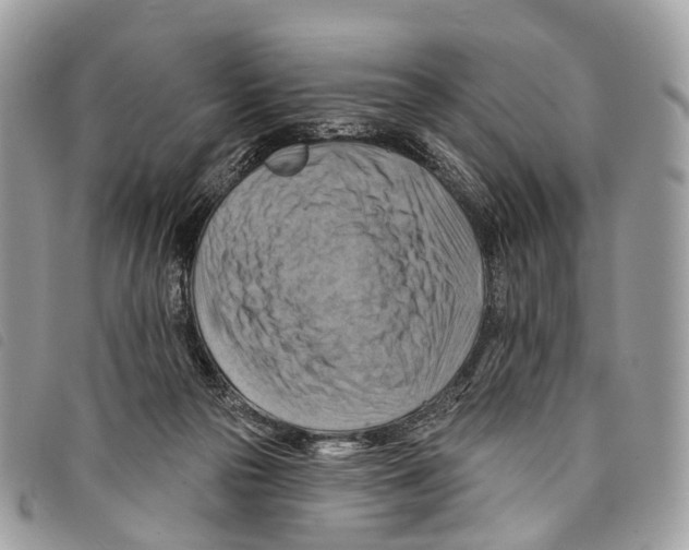 X0000097830169200804111048