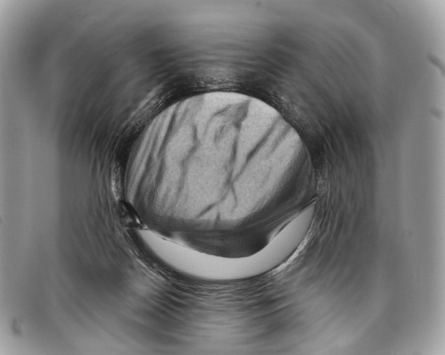 X0000097830170200804111048