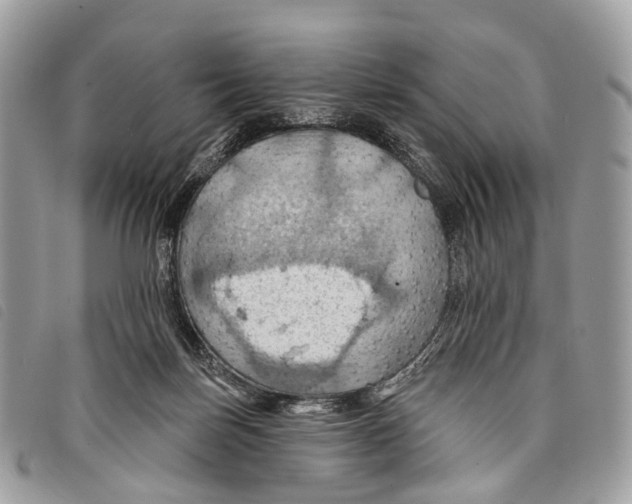 X0000097830171200804111048