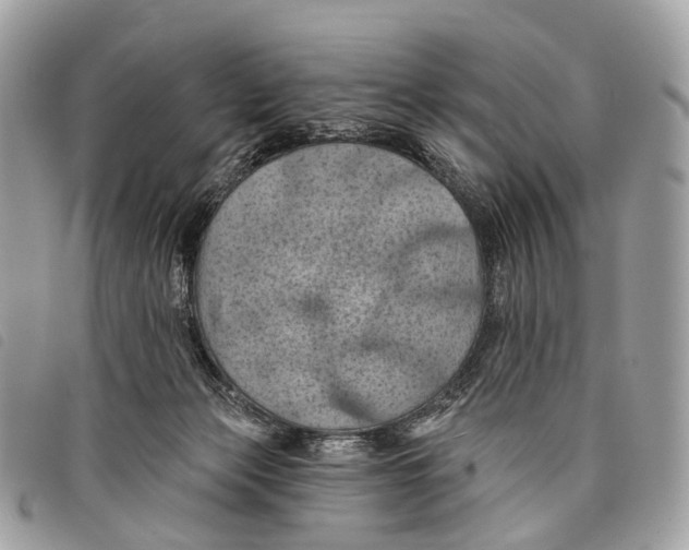 X0000097830173200804111048