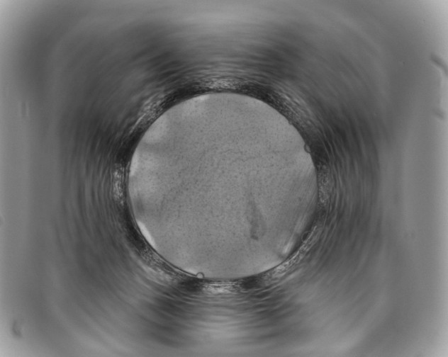 X0000097830175200804111048