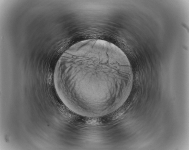 X0000097830177200804111048