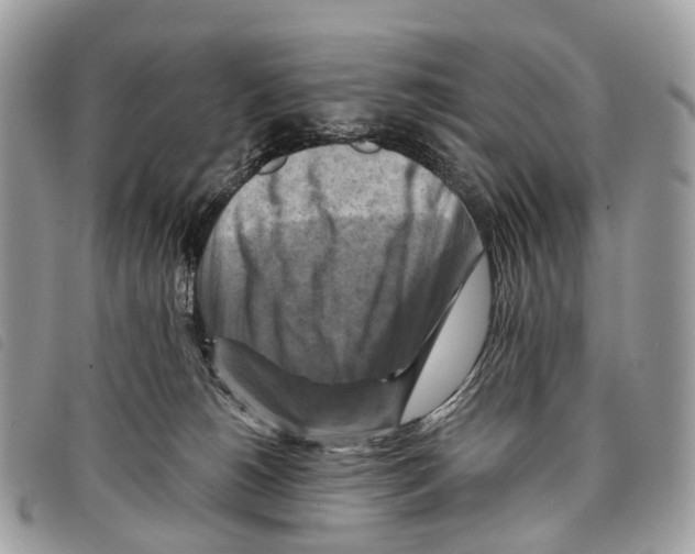 X0000097830180200804111048