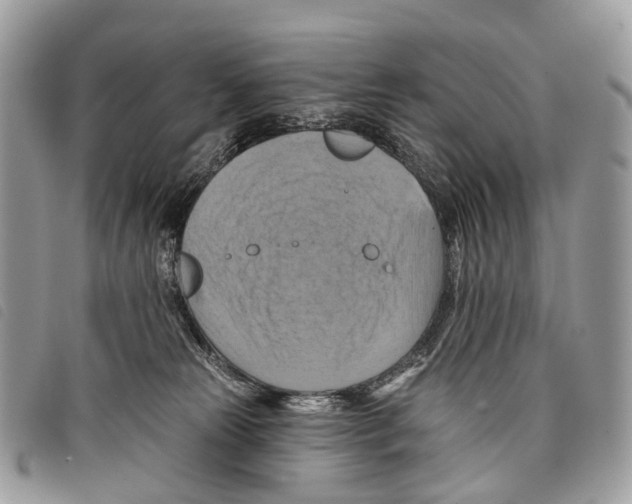 X0000097830181200804111048