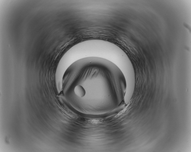 X0000097830184200804111048