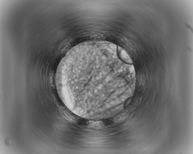 X0000097830185200804111048