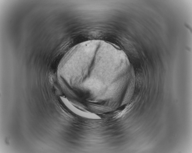 X0000097830188200804111048